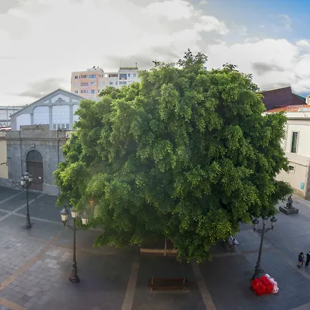 In The Heart Of The Apartment Santa Cruz de Tenerife